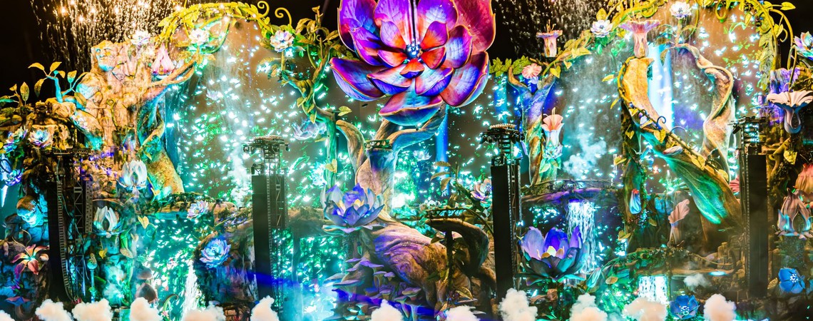 SafeSpace e Tomorrowland Brasil reforçam a importância da segurança psicológica em eventos de grande porte