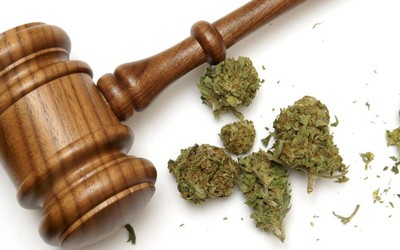 Nova York legaliza uso recreativo da maconha